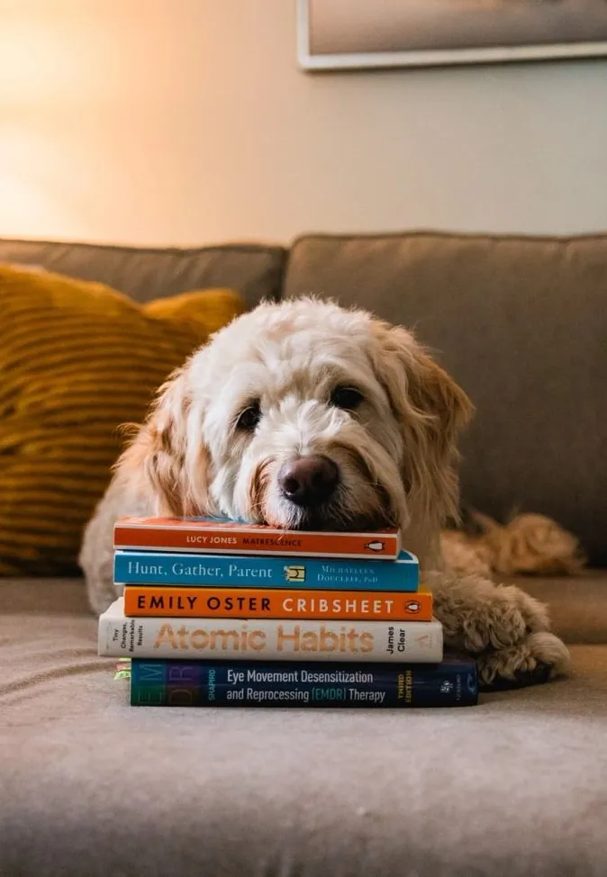A fluffy dog rests its head on a stack of books on the couch.