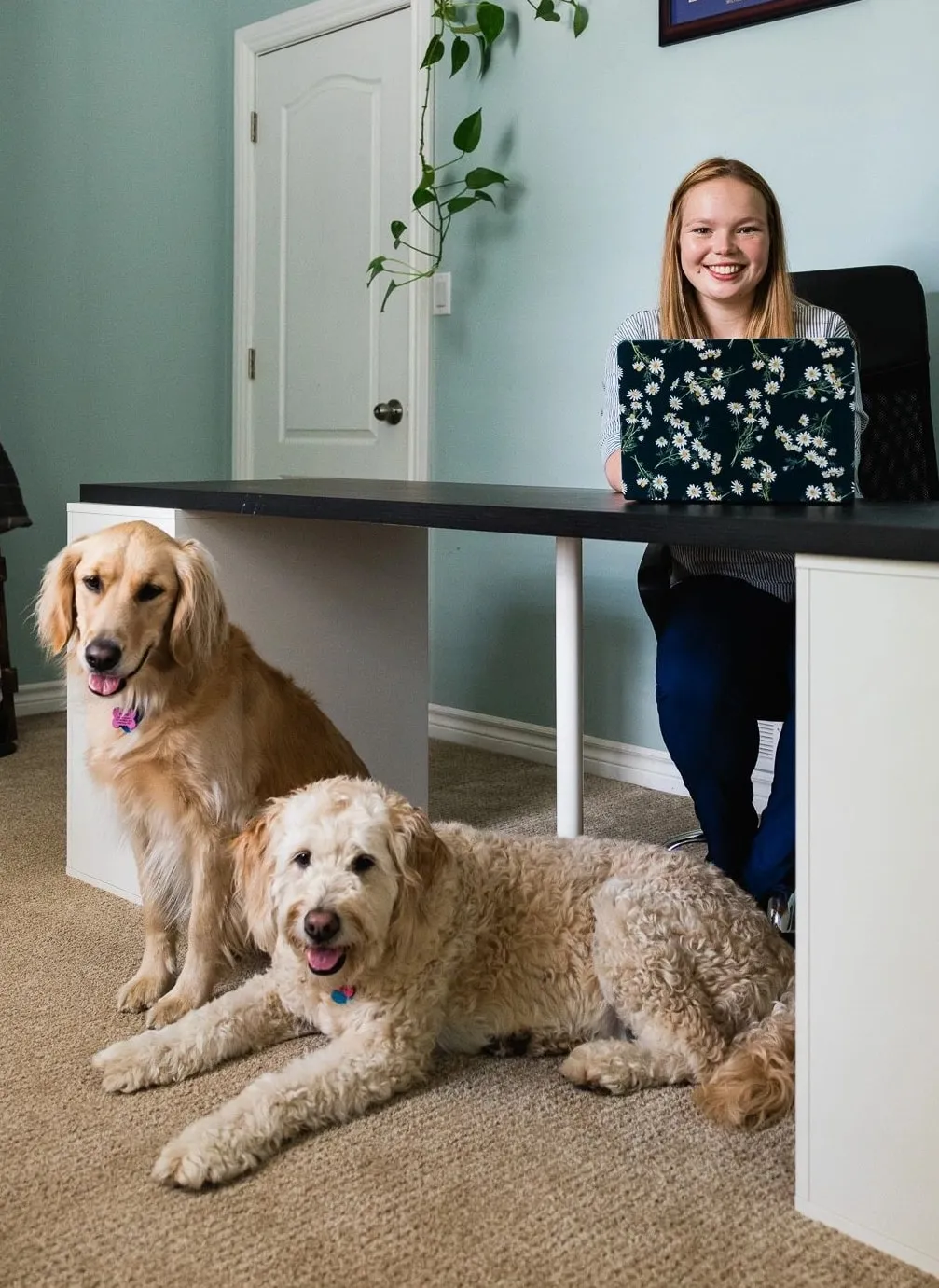 Nicole Graff-Rowe at her desk at home, with her two dogs lying on the floor beside her.